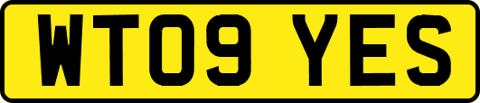 WT09YES