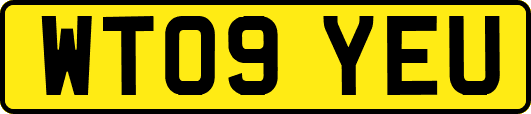 WT09YEU