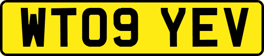 WT09YEV