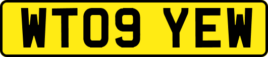 WT09YEW