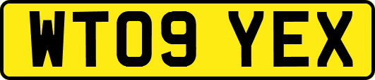 WT09YEX