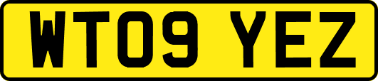 WT09YEZ