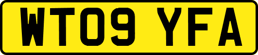 WT09YFA