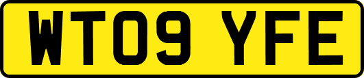 WT09YFE