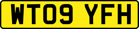 WT09YFH