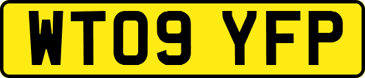WT09YFP