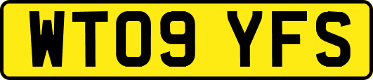 WT09YFS