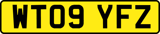 WT09YFZ
