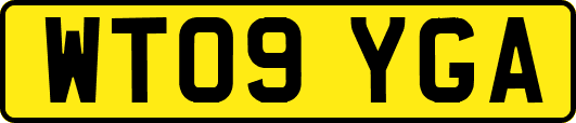 WT09YGA