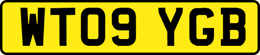 WT09YGB
