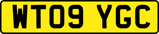 WT09YGC