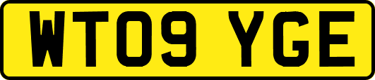 WT09YGE