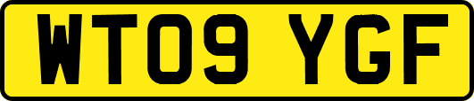 WT09YGF