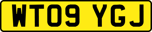 WT09YGJ