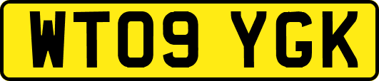 WT09YGK