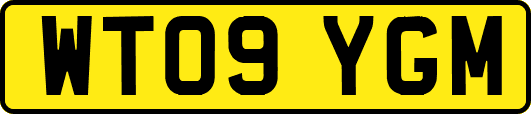 WT09YGM