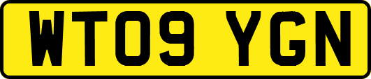 WT09YGN
