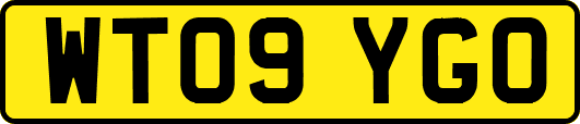 WT09YGO