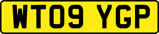 WT09YGP