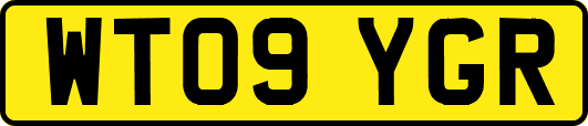 WT09YGR