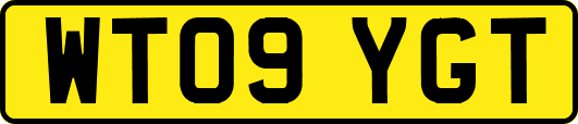 WT09YGT