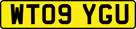 WT09YGU