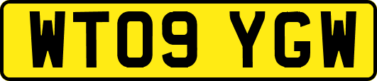 WT09YGW