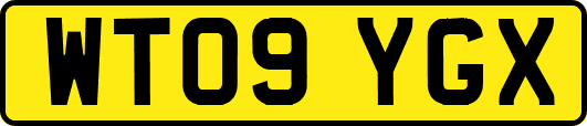 WT09YGX