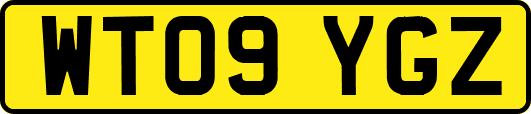 WT09YGZ