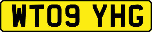 WT09YHG