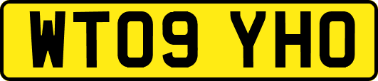 WT09YHO