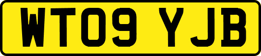 WT09YJB