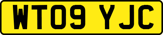 WT09YJC