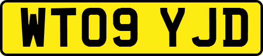 WT09YJD
