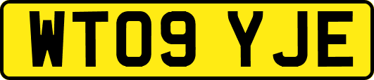 WT09YJE