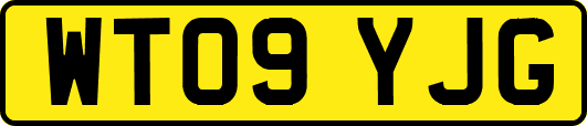 WT09YJG