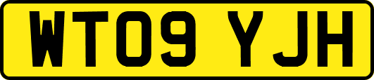 WT09YJH