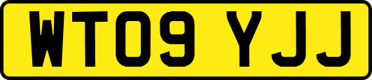 WT09YJJ