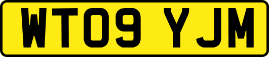 WT09YJM