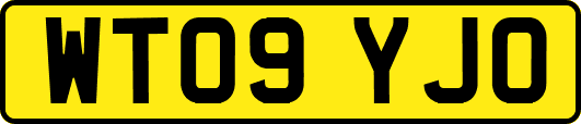 WT09YJO
