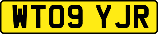 WT09YJR