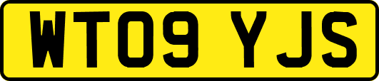 WT09YJS