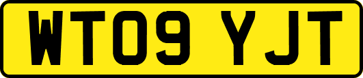 WT09YJT