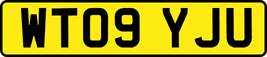 WT09YJU