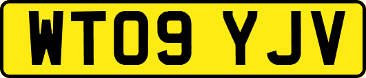 WT09YJV