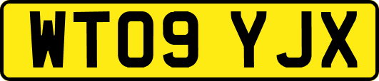 WT09YJX
