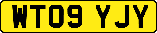 WT09YJY