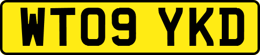 WT09YKD