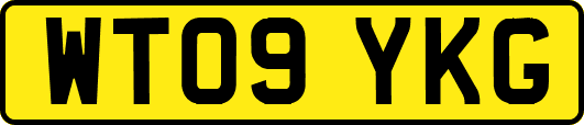 WT09YKG