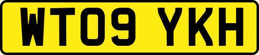 WT09YKH